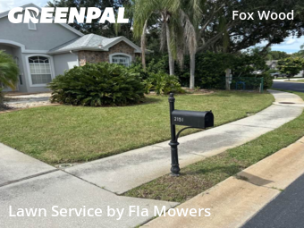 Lawn Maintenance nearby Trinity, FL, 