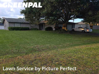 Grass Cutting nearby Palm Bay, FL, 