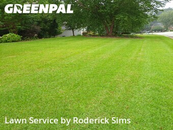 Lawn Mowing Service nearby Hoschton, GA, 