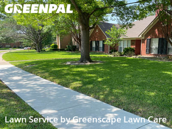 Grass Cut nearby Richardson, TX, 