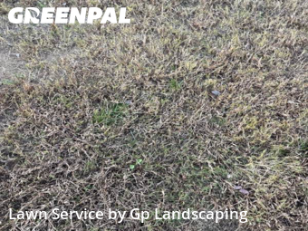 Landscaping In Lancaster,29720,Landscaping Maintenance by Gp Landscaping, work completed in Nov , 2025