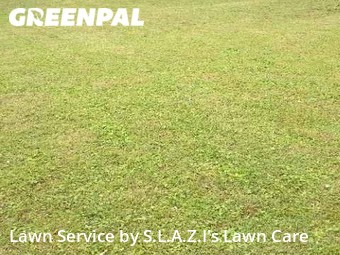 Grass Cut nearby Jackson, TN, 