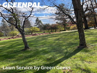 Grass Cut nearby Bedford, OH, 