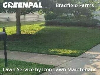 Yard Cutting nearby Charlotte, NC, 