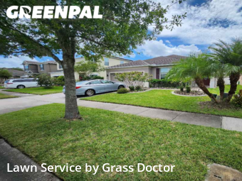 Yard Cutting nearby Orlando, FL, 