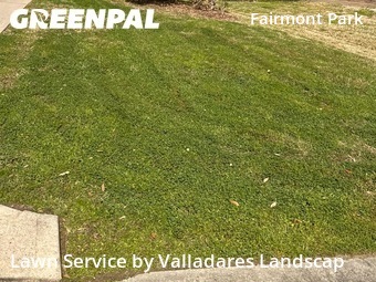 Yard Grooming in La Porte, 77571, Grass Services by Valladares Landscap, work completed in Nov , 2025