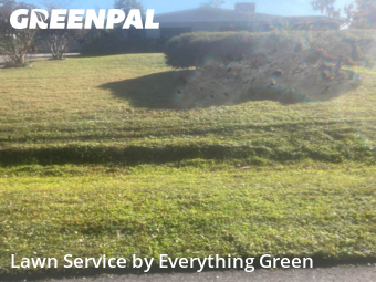 Grass Cut nearby Orlando, FL, 