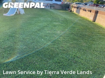 Lawn Mow nearby Downey, CA, 