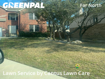 Landscaping Maintenance In San Antonio,78259,Landscaping by Cantus Lawn Care, work completed in Feb , 2026