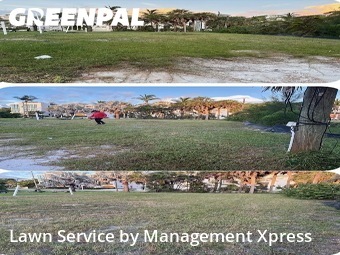 Weed Trimming in Bonita Springs, 34134, Yard Services by Management Xpress , work completed in Oct , 2025