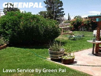 Lawn Care nearby El Paso, TX, 
