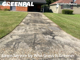 Landscaping Maintenance In Baton Rouge,70807,Landscape Design by Who Grass Is Greener, work completed in Nov , 2025