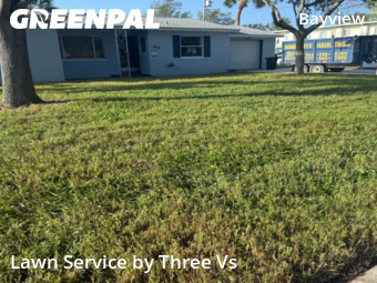 Grass Care in Gulfport, 33711, Grass Cutting by Three Vs , work completed in Nov , 2025