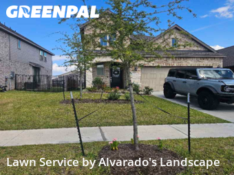 Lawn Maintenancein Porter,77365,Lawn Mow by Alvarado's Landscape, work completed in Jan , 2026