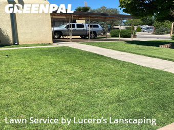 Grass Cutting nearby Albuquerque, NM, 