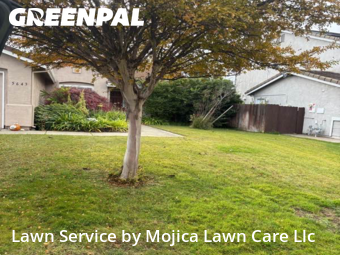 local-lawn-care-services-in-Elk Grove-CA