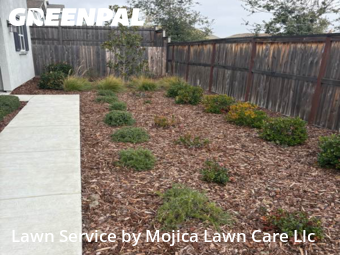 Work completed by yard-maintenance-professionals-in-Folsom-CA