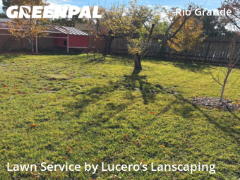 Lawn Cutting nearby Los Ranchos De Albuquerque, NM, 