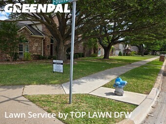 Grass Cutting nearby Plano, TX, 