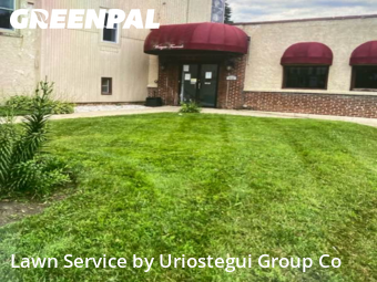 Yard Management in Waukegan, 60085, Yard Management by Uriostegui Group Co, work completed in Nov , 2025