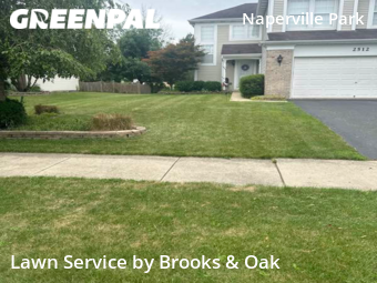 Grass Cut nearby Naperville, IL, 