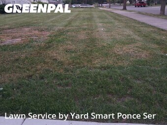 Grass Cut nearby Lombard, IL, 