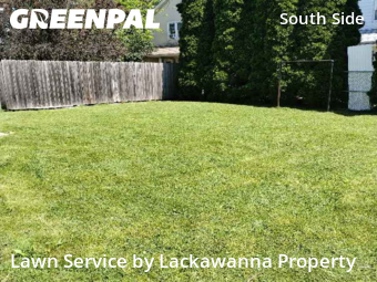 Yard Cutting nearby Scranton, PA, 