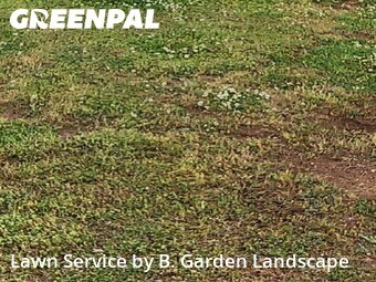 Lawn Maintenance nearby Lawrenceville, GA, 