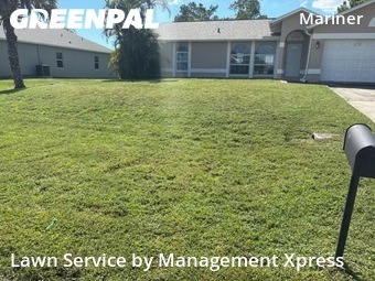 Yard Cutting nearby Cape Coral, FL, 