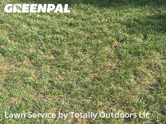 Grass Cut nearby Tallahassee, FL, 