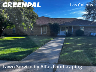 Landscape Design In Irving,75038,Landscaping by Alfas Landscaping, work completed in Oct , 2025