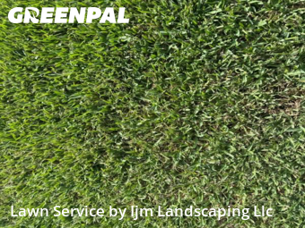 Yard Cutting in Buena Ventura Lakes, 34743, Lawn Care by Ijm Landscaping Llc, work completed in Nov , 2025