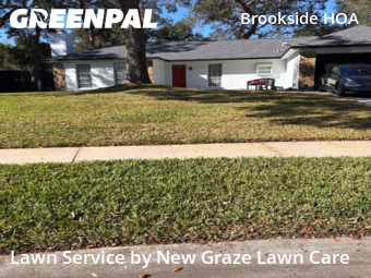 Yard Mowingin Clearwater,33764,Lawn Service by New Graze Lawn Care , work completed in Mar , 2026