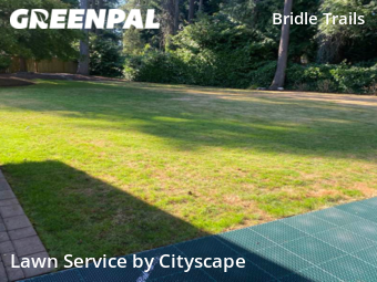 Lawn Cutting nearby Kirkland, WA, 