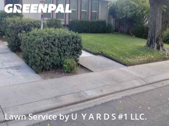 Landscaping Services In Modesto,95358,Landscaping Maintenance by U  Y A R D S #1 LLC., work completed in Oct , 2025