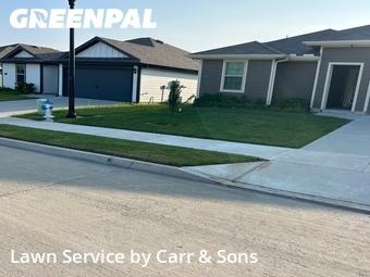 Lawn Maintenance nearby Princeton, TX, 