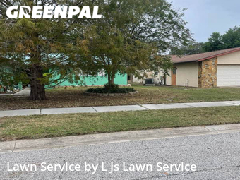 Lawn Mowing Service nearby St. Petersburg, FL, 