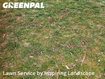 Lawn Service nearby Englewood, CO, 