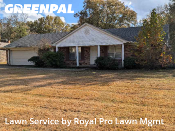 Yard Care in Olive Branch, 38654, Lawn Care by Royal Pro Lawn Mgmt, work completed in Dec , 2025