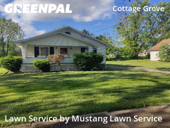 Grass Cut nearby Youngstown, OH, 