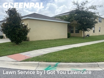 Lawn Mow nearby Winter Garden, FL, 