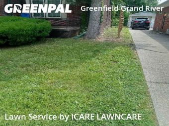 Grass Cut nearby Detroit, MI, 