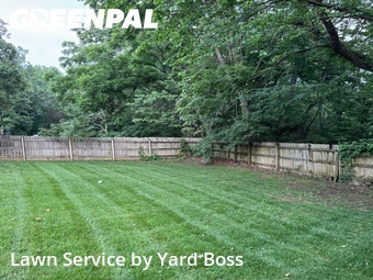 Lawn Cut nearby Independence, MO, 