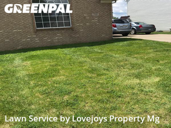Grass Cutting nearby Ypsilanti, MI, 