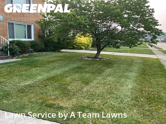 Lawn Care nearby Euclid, OH, 