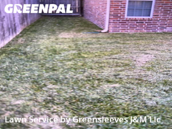 Lawn Service nearby College Station, TX, 