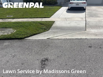 Yard Grooming in Greenacres, 33463, Mowing Services by Madissons Green, work completed in Nov , 2025
