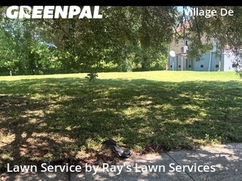 Grass Cut nearby New Orleans, LA, 