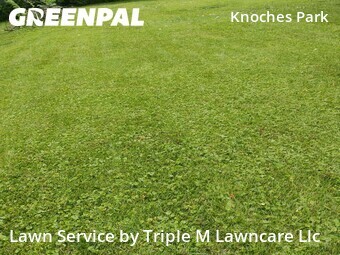 Yard Cutting nearby Kansas City, MO, 