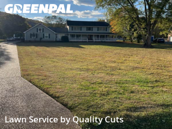 Grass Cutin Hendersonville,37075,Yard Cutting by Quality Cuts, work completed in Nov , 2025